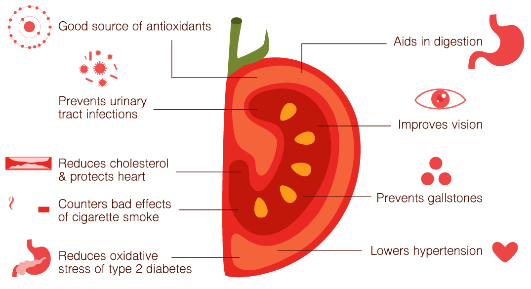 lycopene powder bulk supplier Yangge Biotech lycopene powder bulk supplier Yangge Biotech