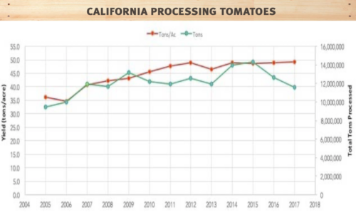  california processing tomatoes