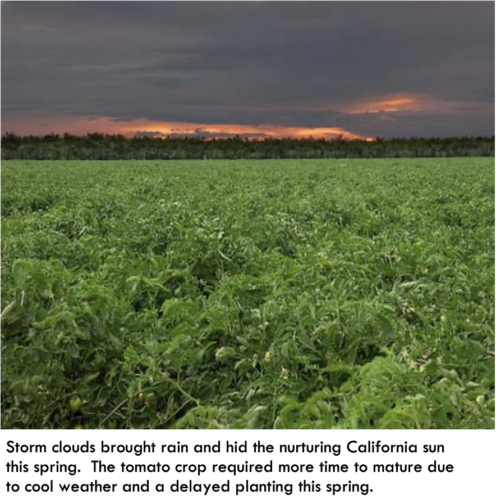 Storm clouds brought rain and hid the nurturing California sun this spring.