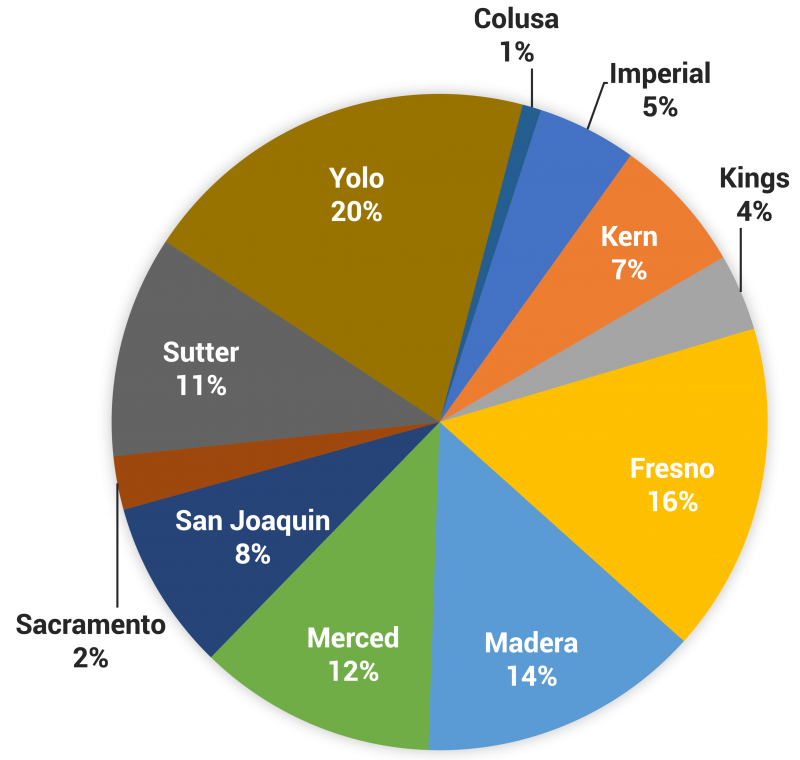 Dedicated organic processed tomato products in california