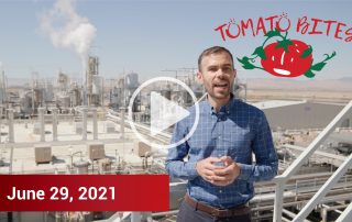 Tomato Bites Video - June 29, 2021